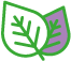 spileep-ikony-11.png